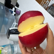 image.jpg