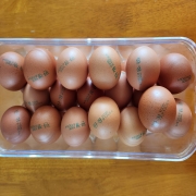 picked_1791526847330.jpg