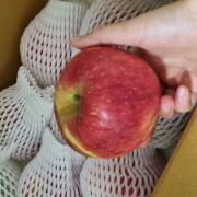 picked_1791557962890.jpg