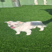 23255.jpg