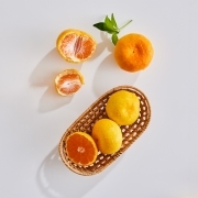 goods-46007-2026-10-09-[산지직송]당도선별 제주 하우스 감귤 (3kg).jpg