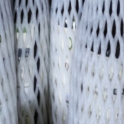 picked_1792157711937.jpg