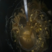 picked_1792417256359.jpg