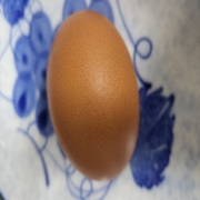 17924651507863174038763552813781.jpg