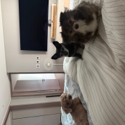 IMG_4786.jpeg