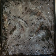 picked_1792571285557.jpg