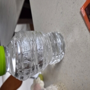 original_1792765988896.jpg