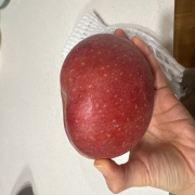 image.jpg