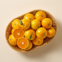 [산지직송]11Brix 당도선별 GAP 제주 유라감귤 (2.5kg)